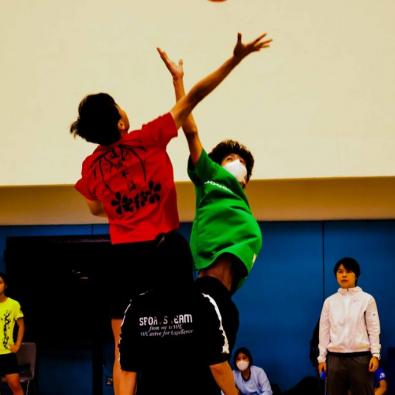 Inter-Chamber Dodgeball Competition