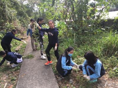 Volunteering at Fung Yuen Butterfly Reserve