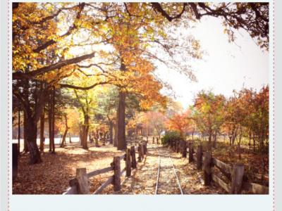 2019 Korea Photography Excursion 