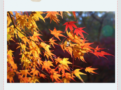 2019 Korea Photography Excursion 