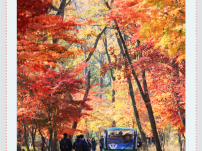 2019 Korea Photography Excursion 