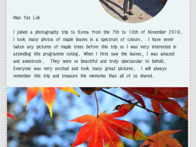 2019 Korea Photography Excursion 