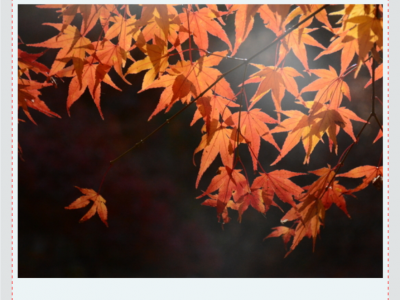 2019 Korea Photography Excursion 