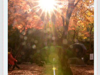 2019 Korea Photography Excursion 