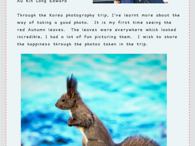 2019 Korea Photography Excursion 
