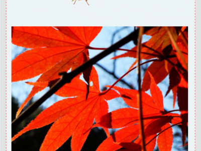 2019 Korea Photography Excursion 