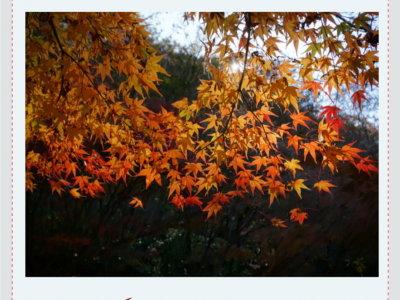 2019 Korea Photography Excursion 