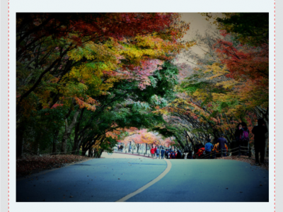 2019 Korea Photography Excursion 