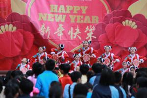 18-19_Chinese New Year