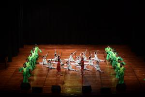 Variety Show