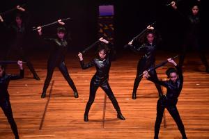 Variety Show