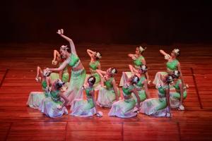 Variety Show