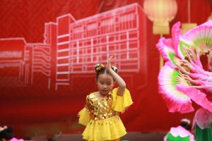 Chinese Culture Day