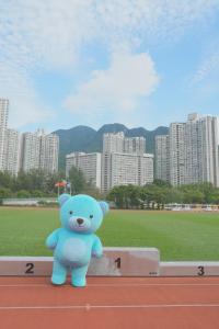 15th Athletic Meet (Primary Division)