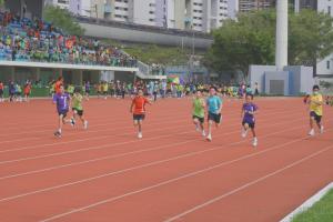15th Athletic Meet (Primary Division)