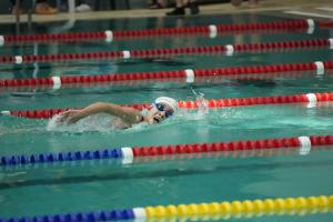 Aquatic Meet