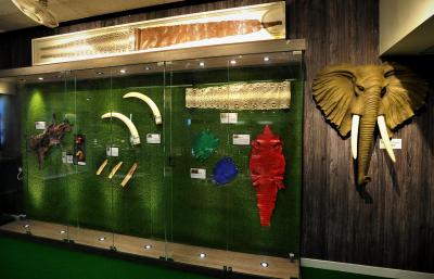 Endangered Species Museum