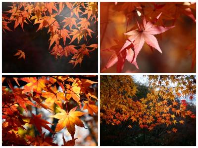 Korea Photography Excursion