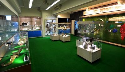Endangered Species Museum