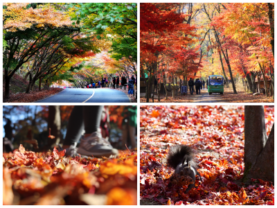 Korea Photography Excursion