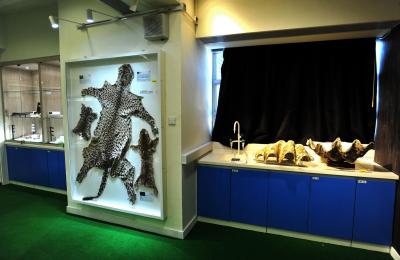 Endangered Species Museum