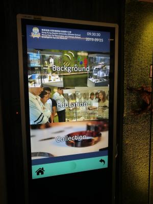 Endangered Species Museum