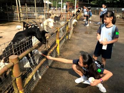 Parent-child Play Day and Picnic Day of Primary Division