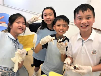 Language Week of Primary Division