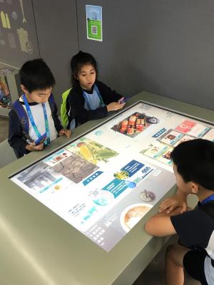 Visit to the Sustainability Gallery – Primary Division