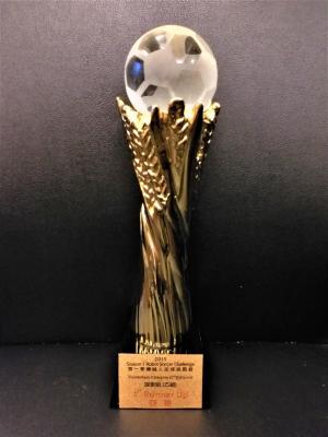 Robot Soccer Challenge 2019 Season 1