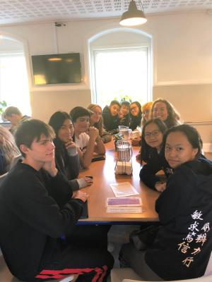 Exchange Programme in Denmark