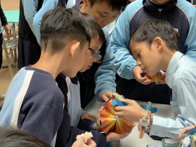 Humanities Week 2018-19
