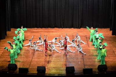 Variety Show 2019 - Passion for Arts