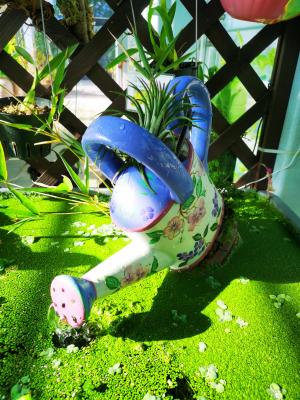 Welcome Spring at our Roof Garden
