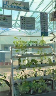 Welcome Spring at our Roof Garden