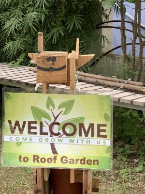 迎接天台花園的春天