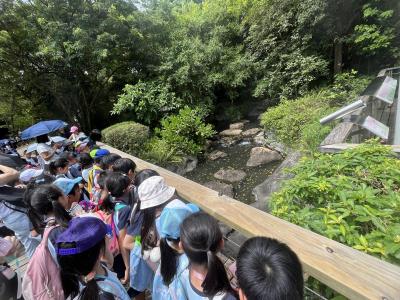 🦉 PBL - Grade 2's Wild Learning Adventure! 🦜