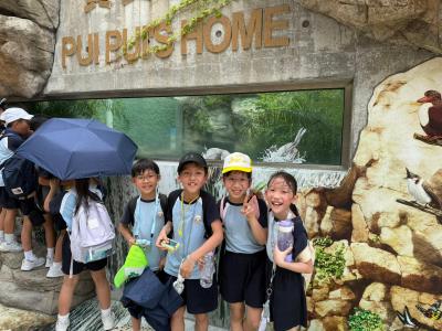 🦉 PBL - Grade 2's Wild Learning Adventure! 🦜