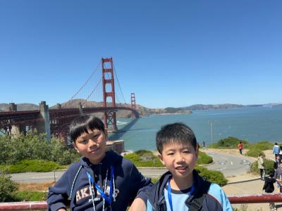 Robofest International Competition