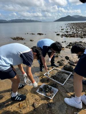 Exploring Biology and Ecology: A Field Study Experience