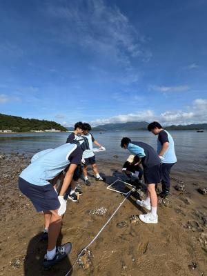 Exploring Biology and Ecology: A Field Study Experience
