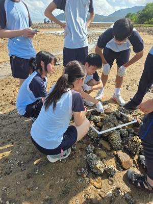 Exploring Biology and Ecology: A Field Study Experience