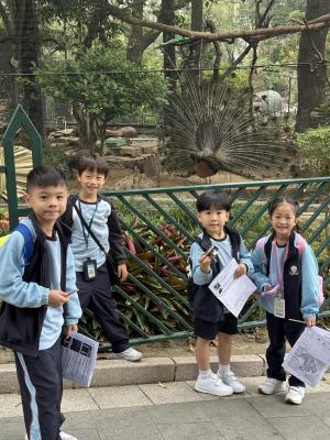 <<✨ A Wonderful Day of Discovery at the Hong Kong Zoological and Botanical Gardens! 🌿🐒>>