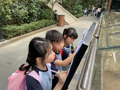 <<✨ A Wonderful Day of Discovery at the Hong Kong Zoological and Botanical Gardens! 🌿🐒>>
