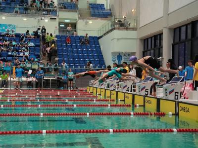 <<🏊‍♂️The 10th Aquatic Meet (Primary Division)>>
