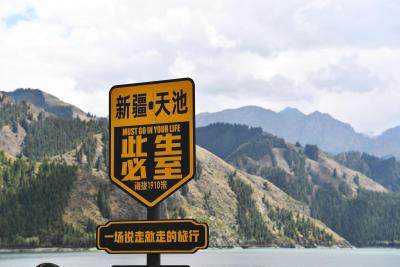 不一樣的暑假 🌟 追夢路上，閃閃發光