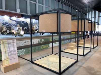 Art Exhibition – Climate Crisis