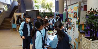 Unlocking the Joy of Reading