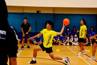 Inter-Chamber Dodgeball Competition