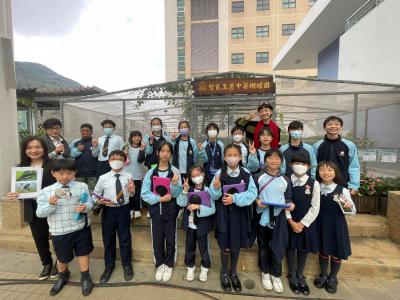 Embracing the Magic of Butterflies: A Journey of Learning